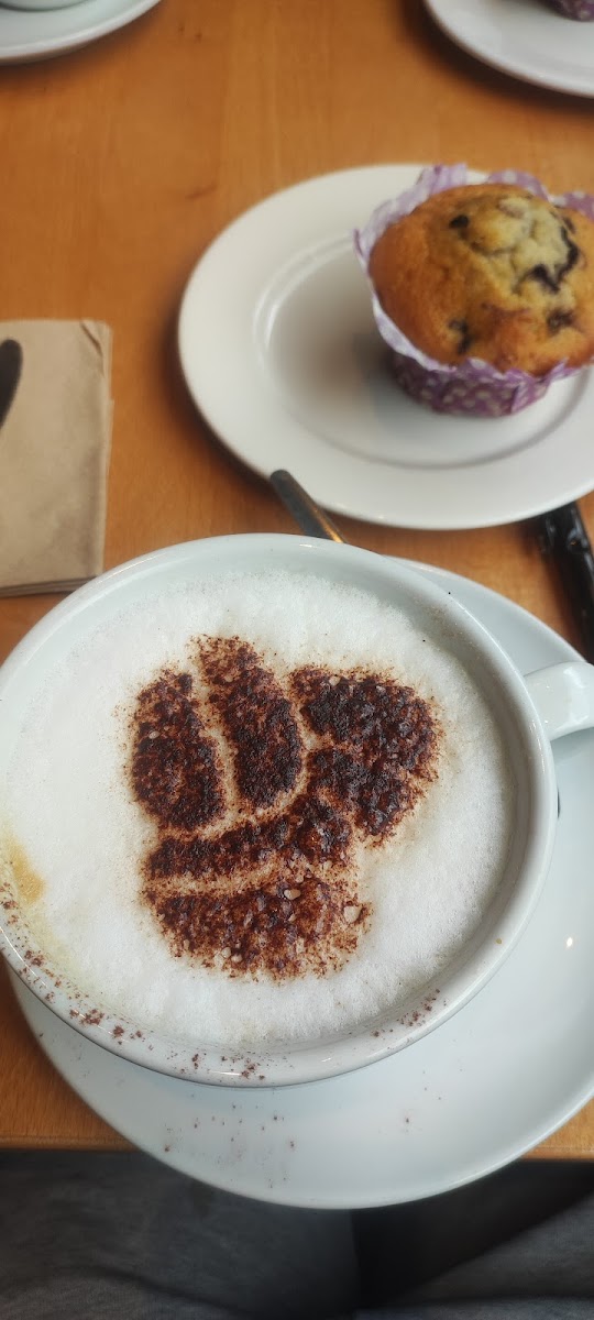 Costa Coffee Photo 6