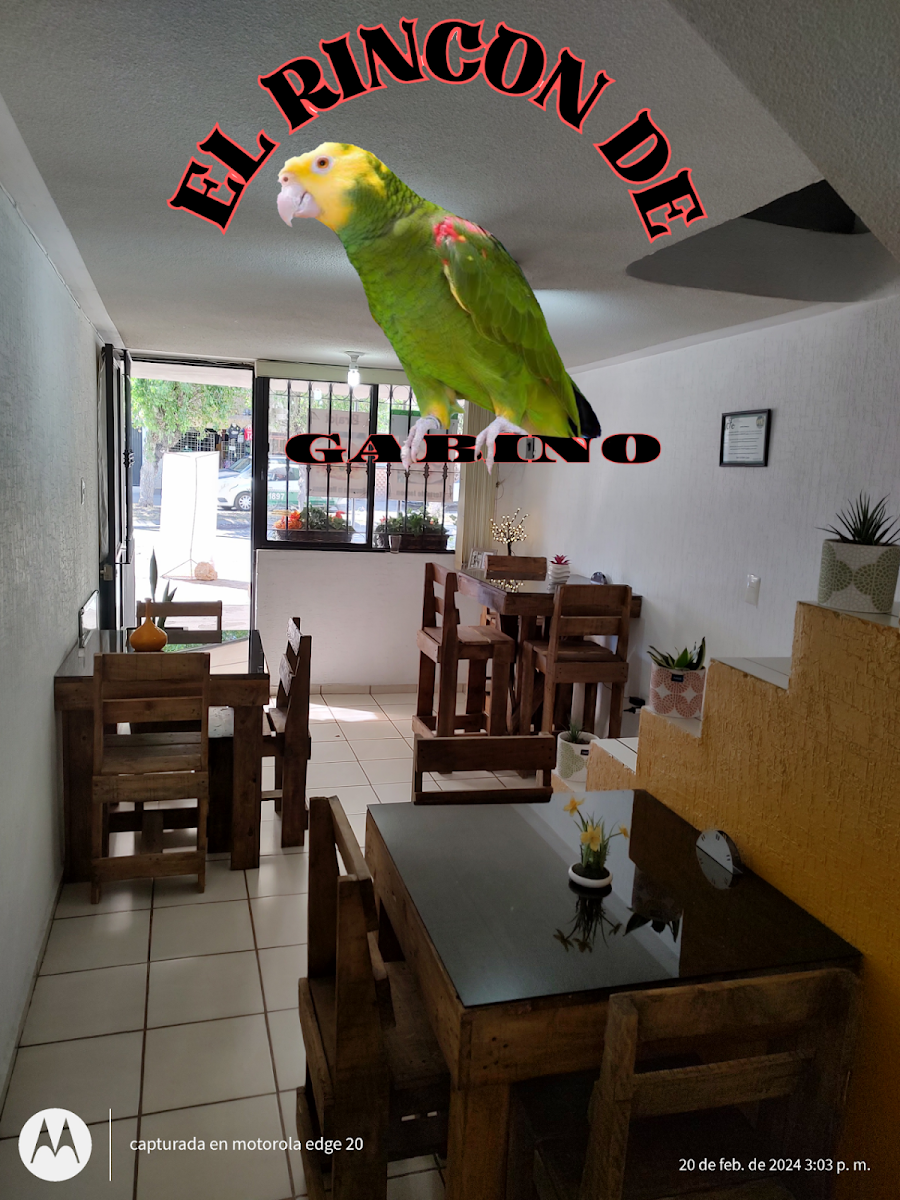 El Rincón de Gabino Photo 6