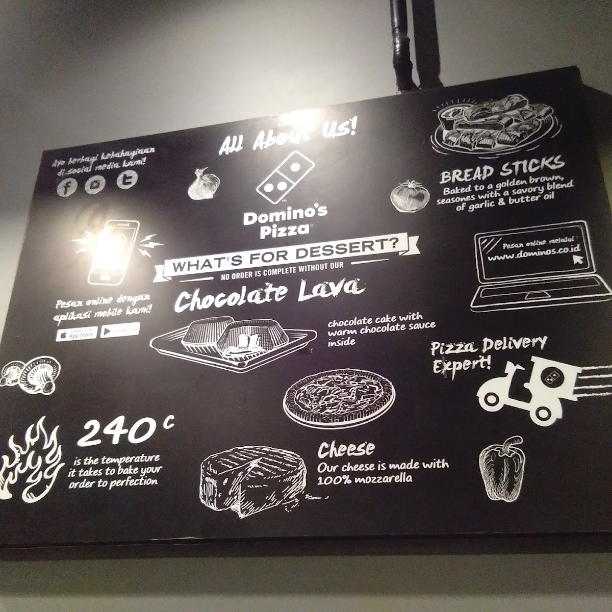 Domino's Pizza Photo Menu 4