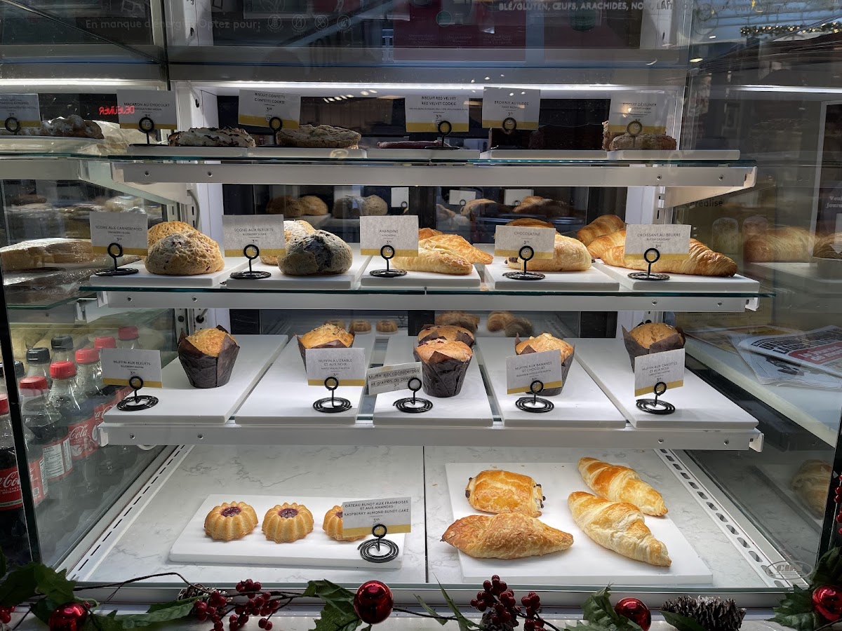 Second Cup Café Photo 6