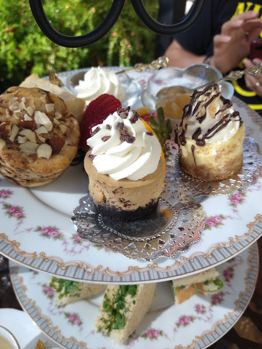 All Things Tea Photo 5