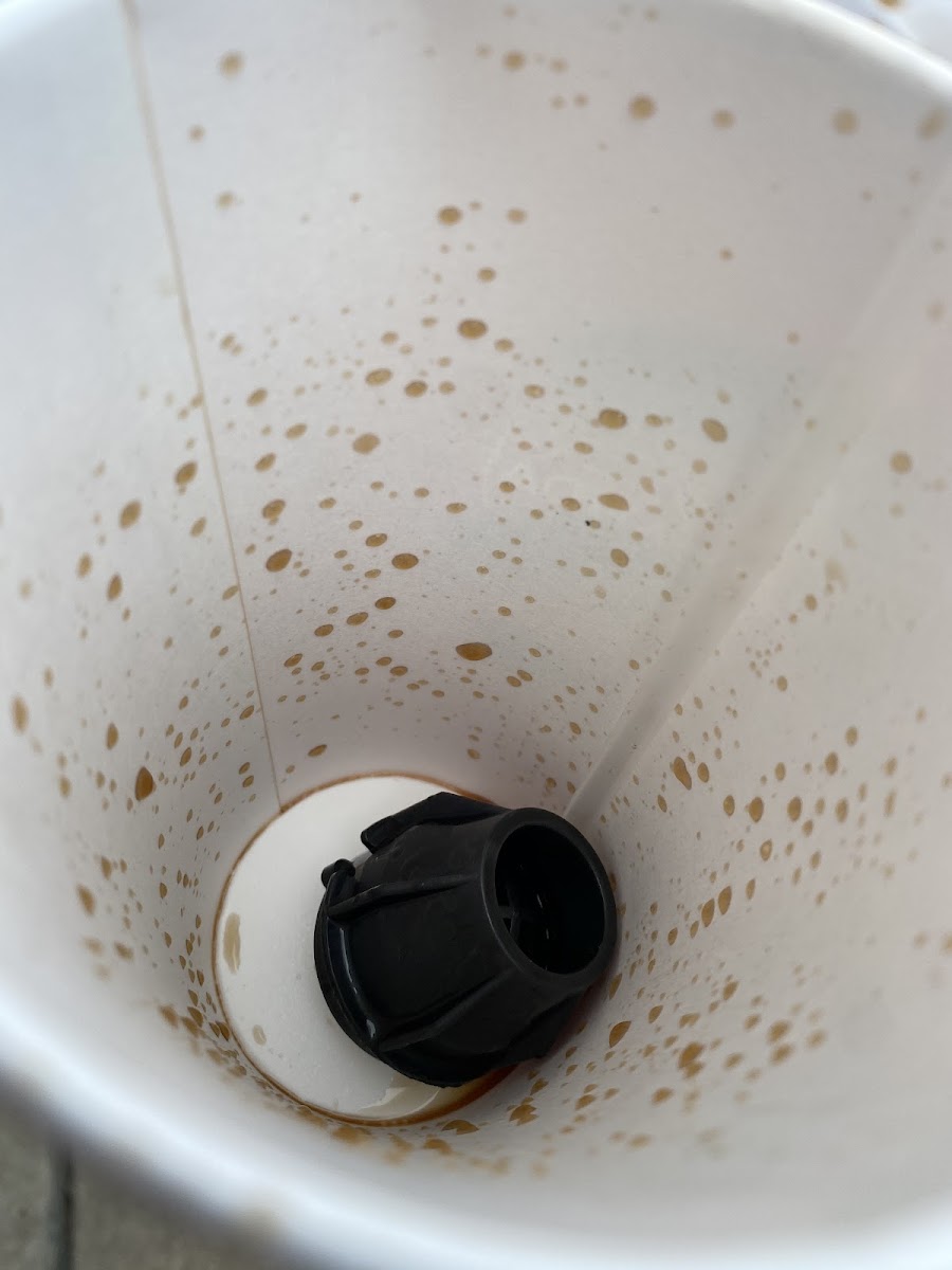 Panda Express Photo 10
