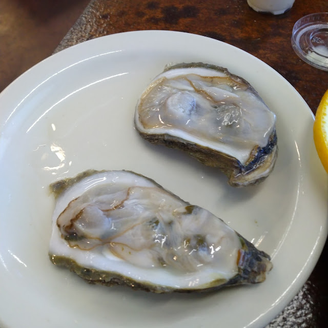 Oyster