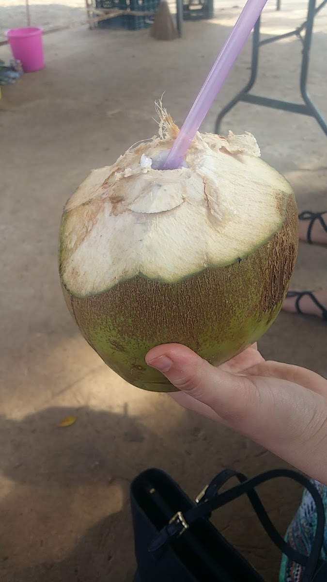 Frutas 'Adela' Photo 5
