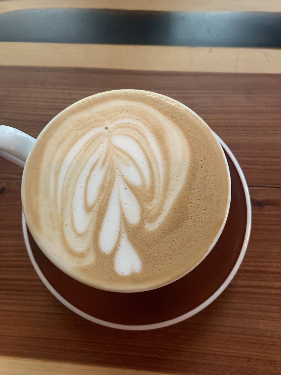 Bouldin Creek Cafe Photo 6