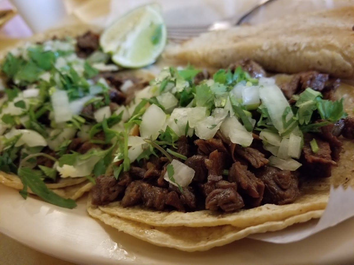 Meson Del Taco Photo 6