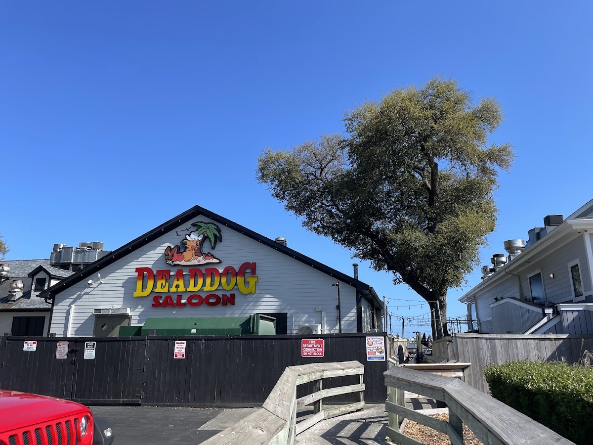 Dead Dog Saloon