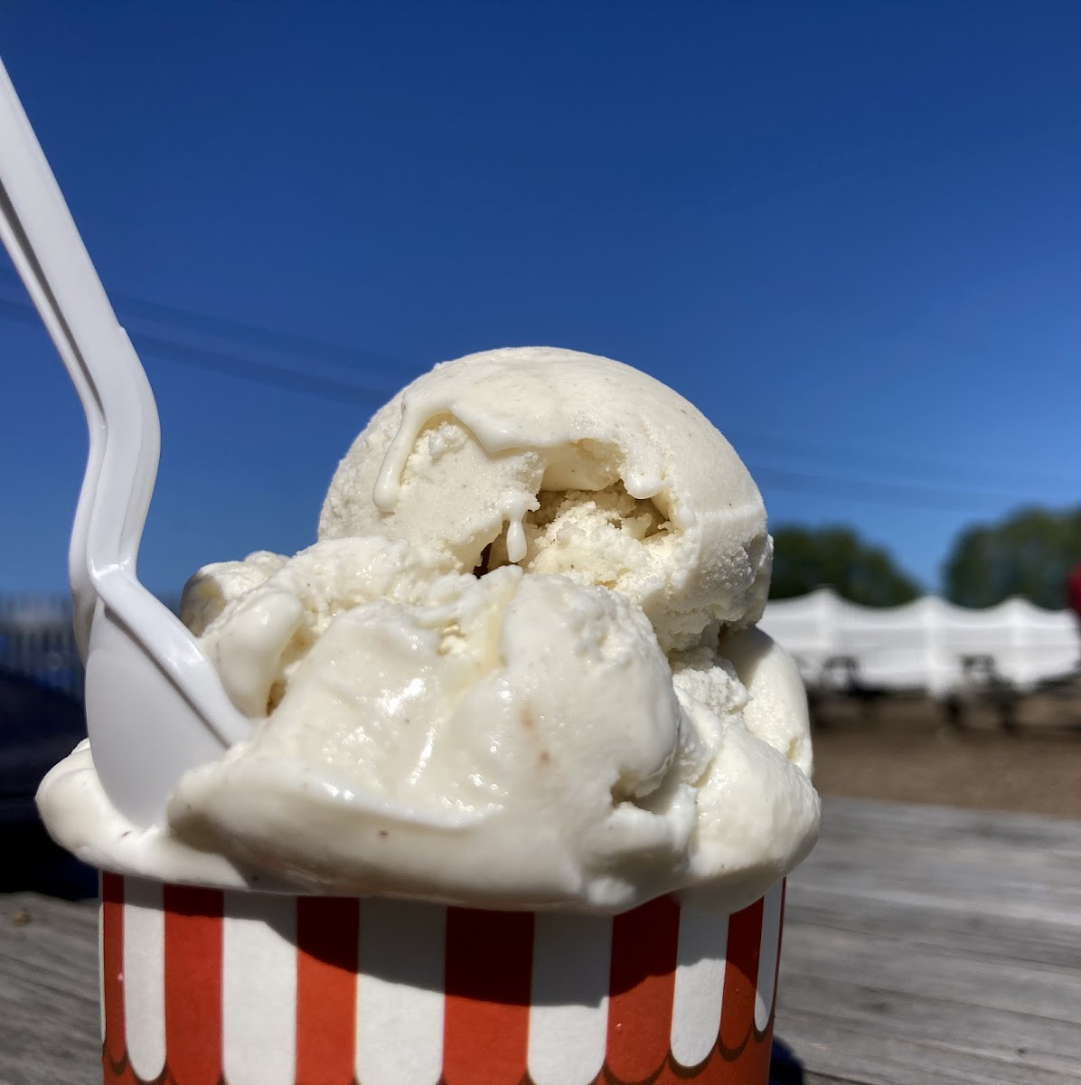 Uncle Dave’s Homemade Ice Cream Photo 8