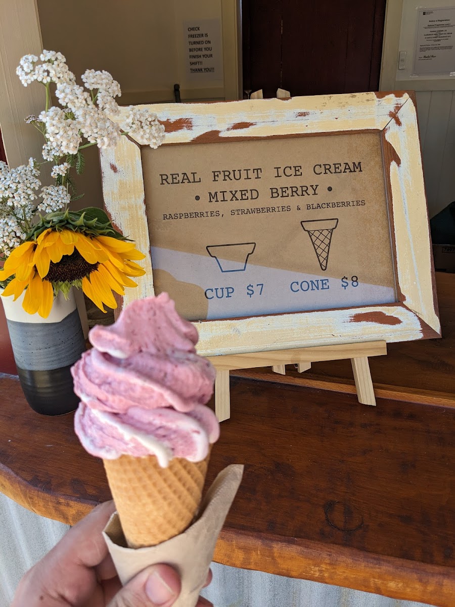 Real Fruit Ice Cream Glenorchy Photo 5