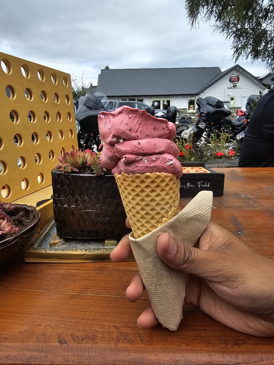 Real Fruit Ice Cream Glenorchy Photo 6