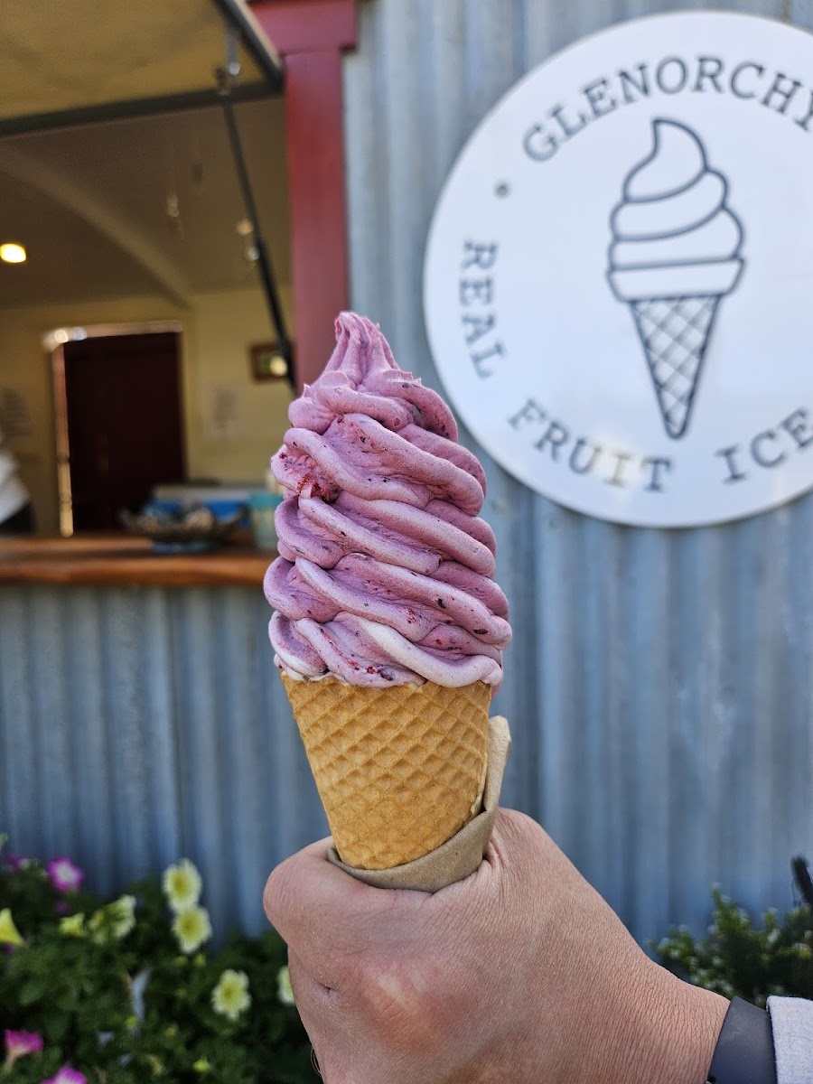 Real Fruit Ice Cream Glenorchy Photo 7
