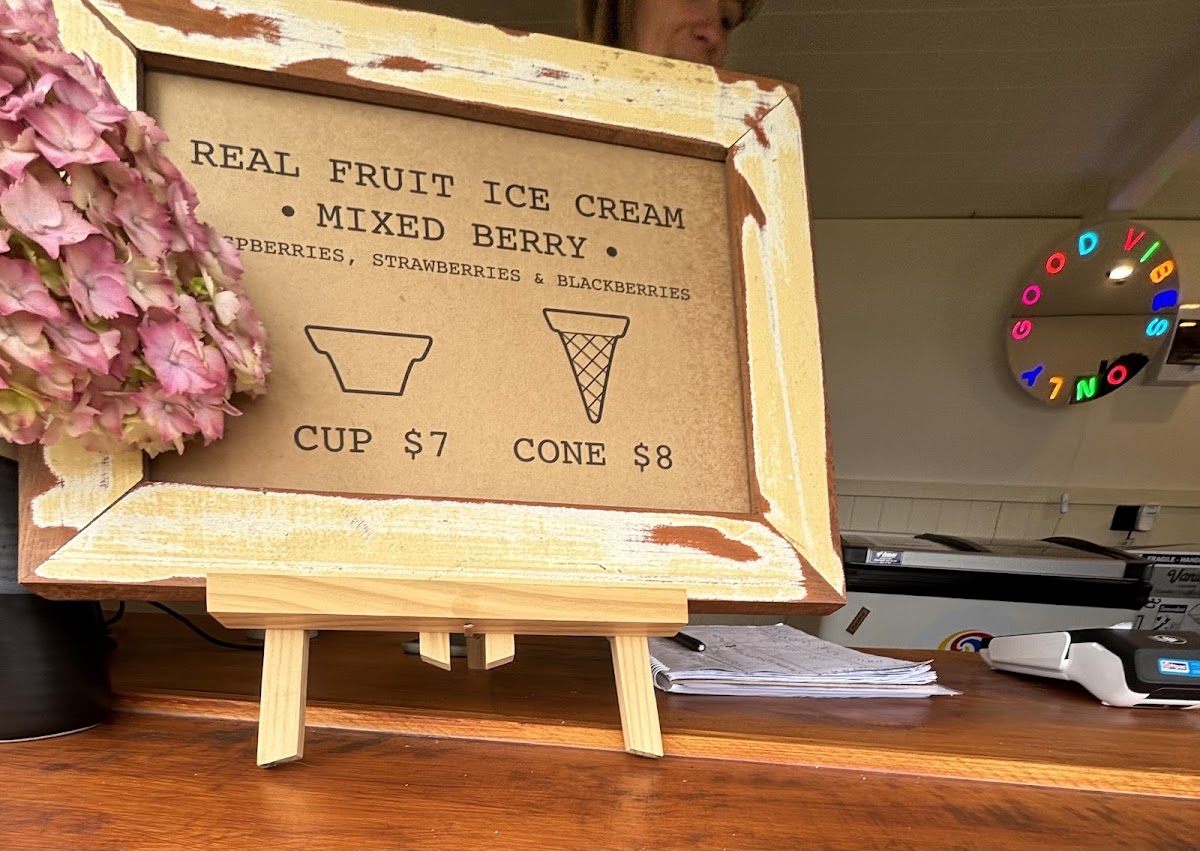 Real Fruit Ice Cream Glenorchy Photo Menu 2