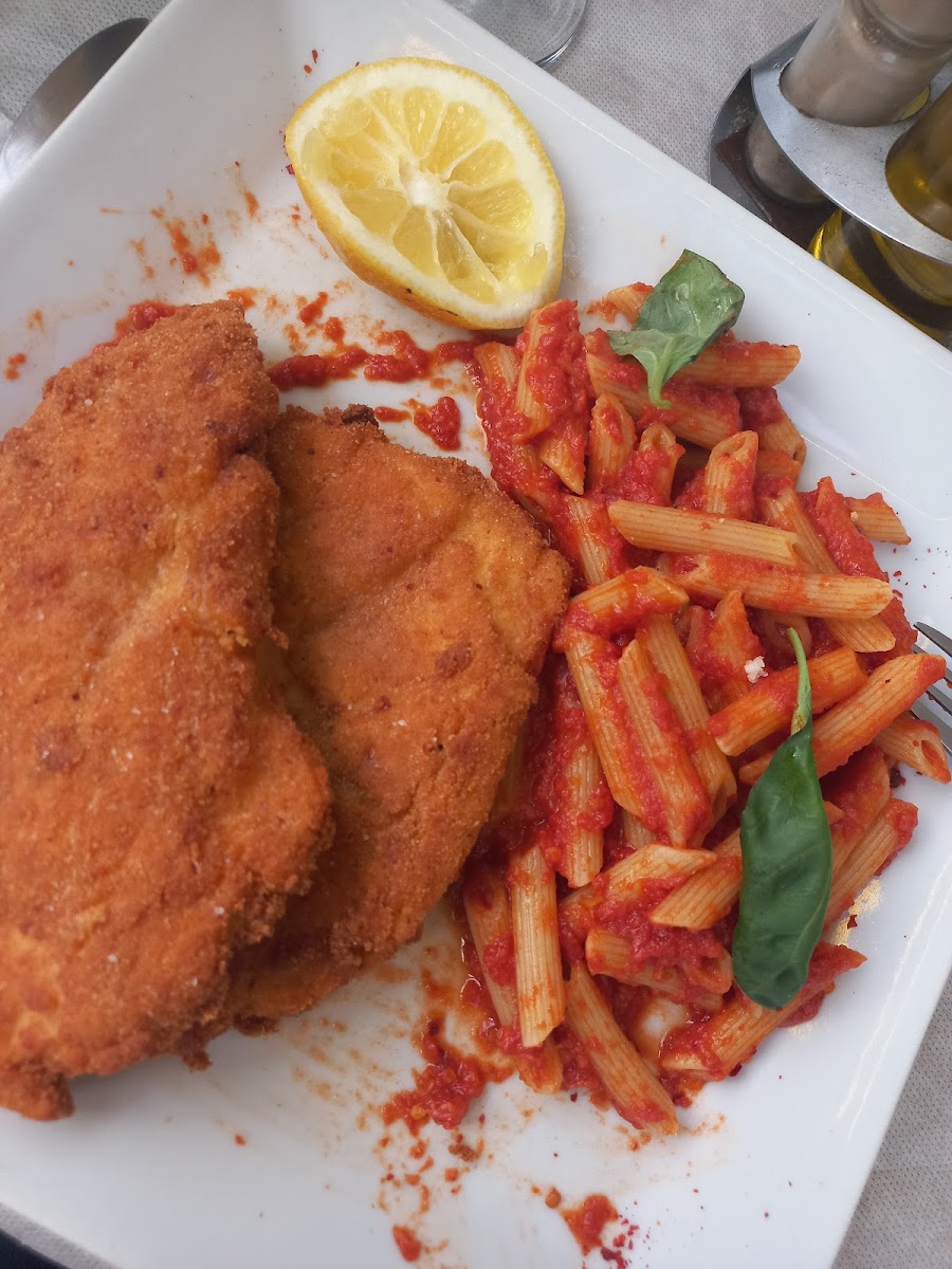 Trattoria Bovio Photo 7