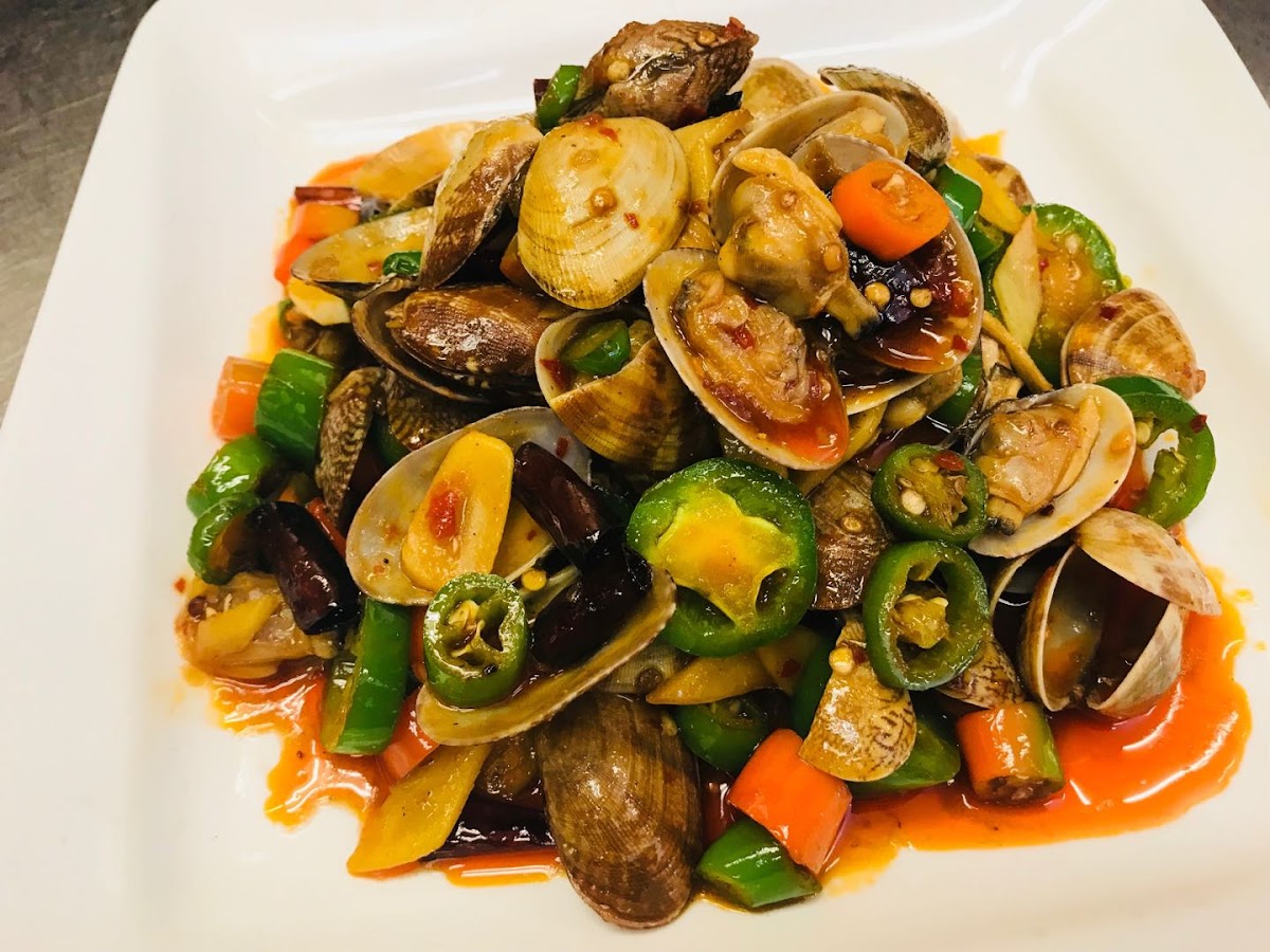 Szechuan Chef Chinese Cuisine Photo 3