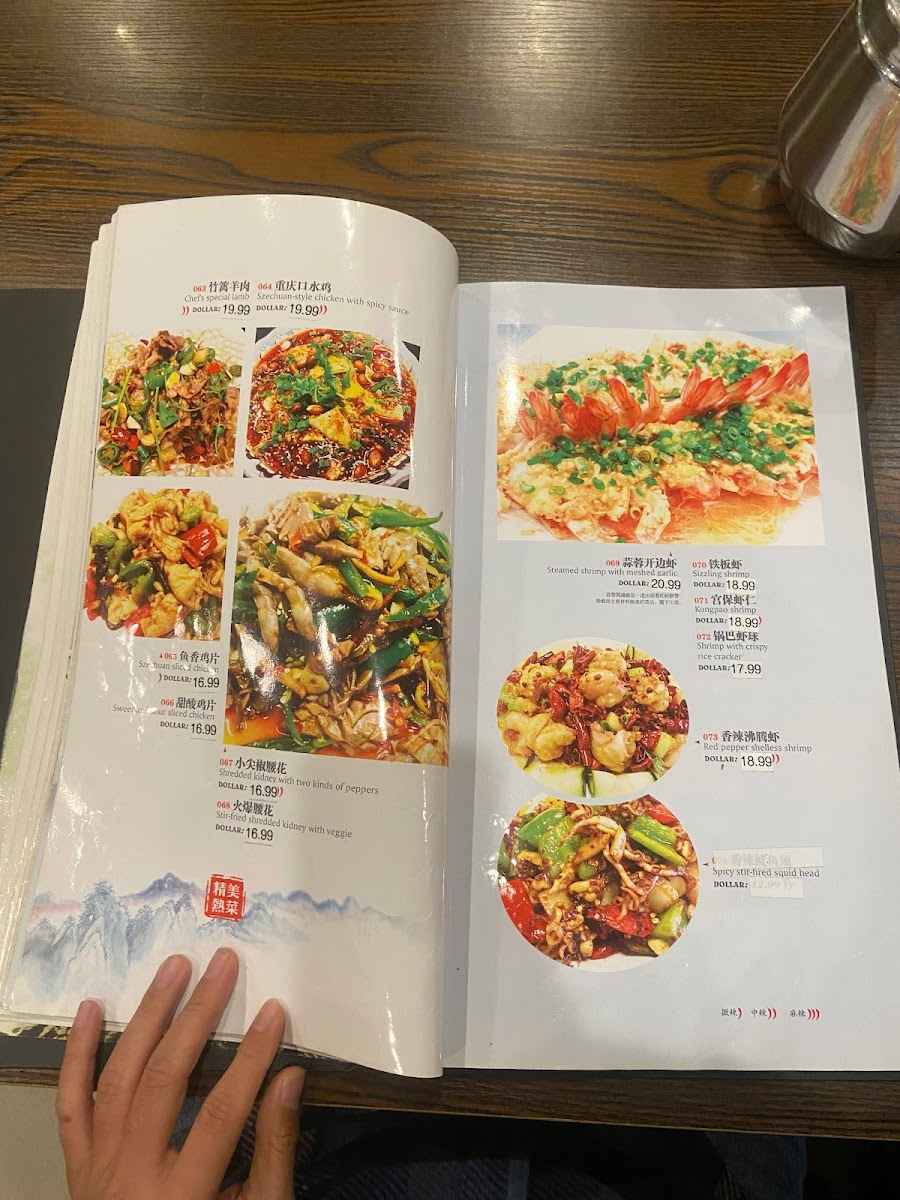 Szechuan Chef Chinese Cuisine Photo Menu 1