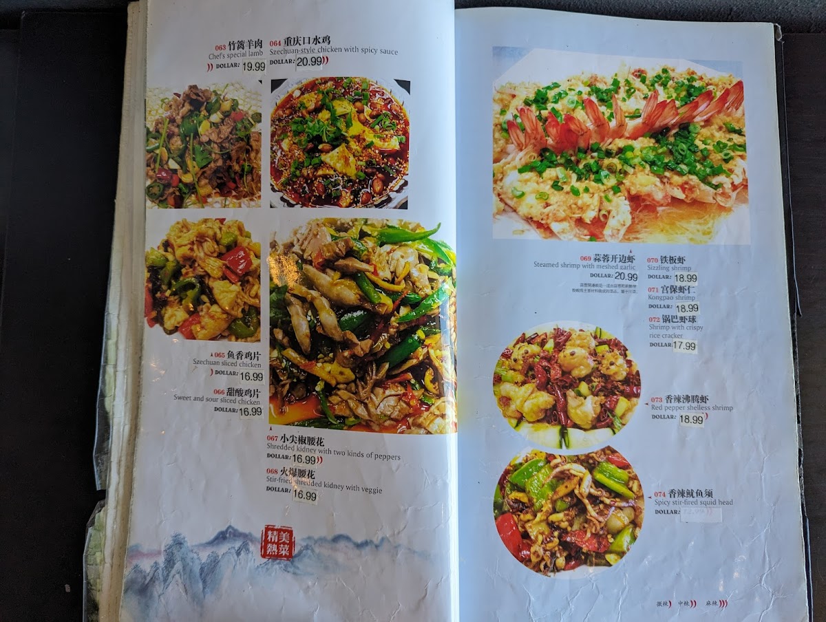 Szechuan Chef Chinese Cuisine Photo Menu 10