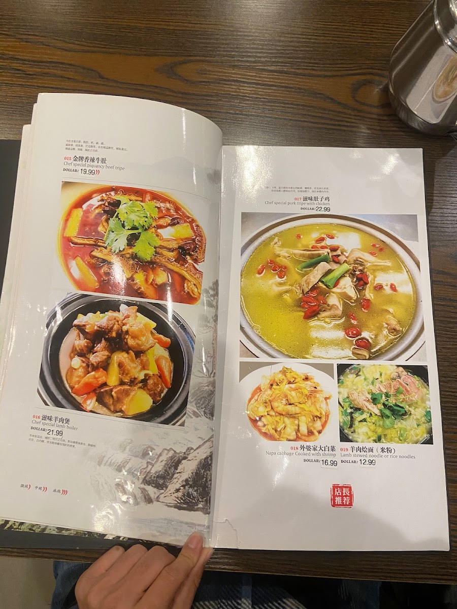 Szechuan Chef Chinese Cuisine Photo Menu 6