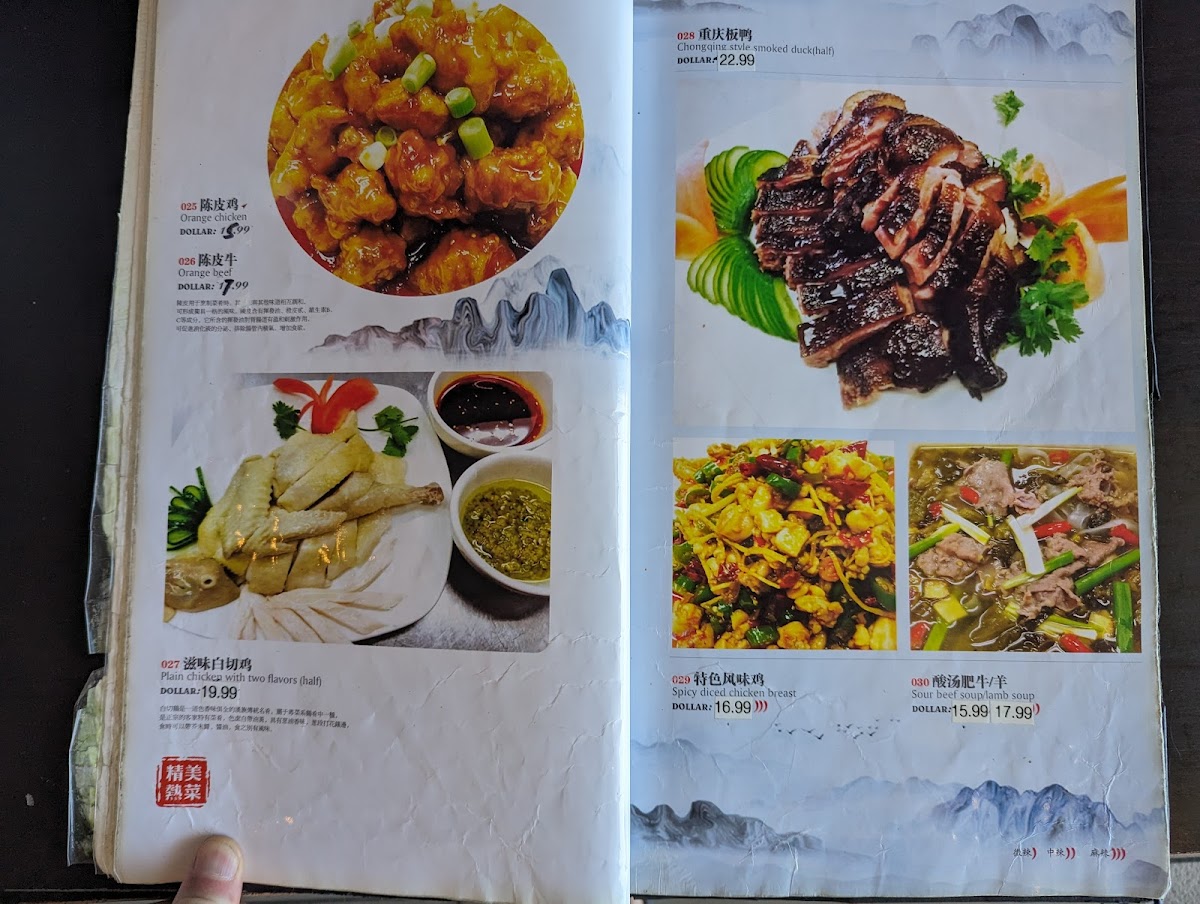 Szechuan Chef Chinese Cuisine Photo Menu 9