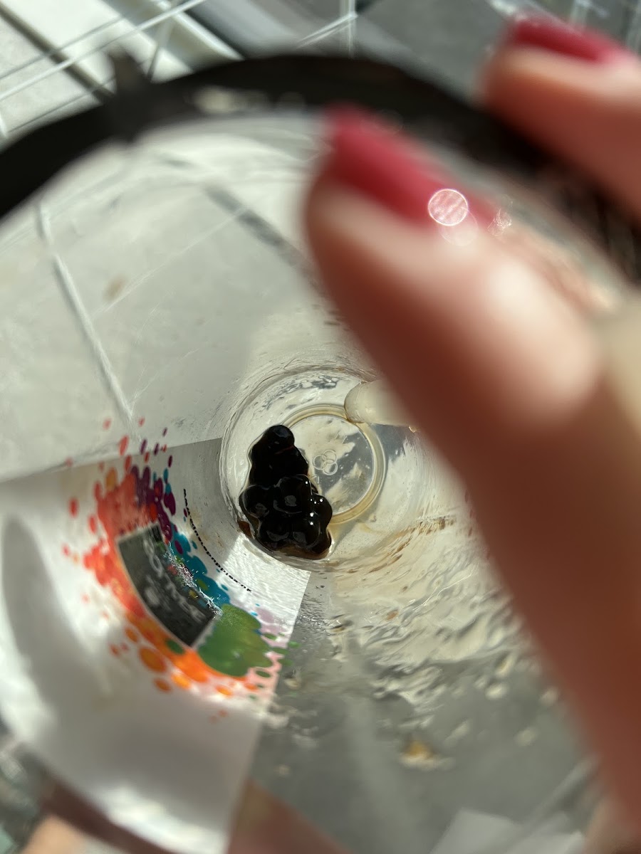 Square Bubbles Woolwich Photo 5
