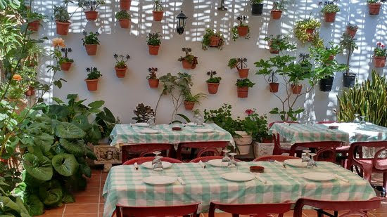 Restaurante el Rocinante Photo 3