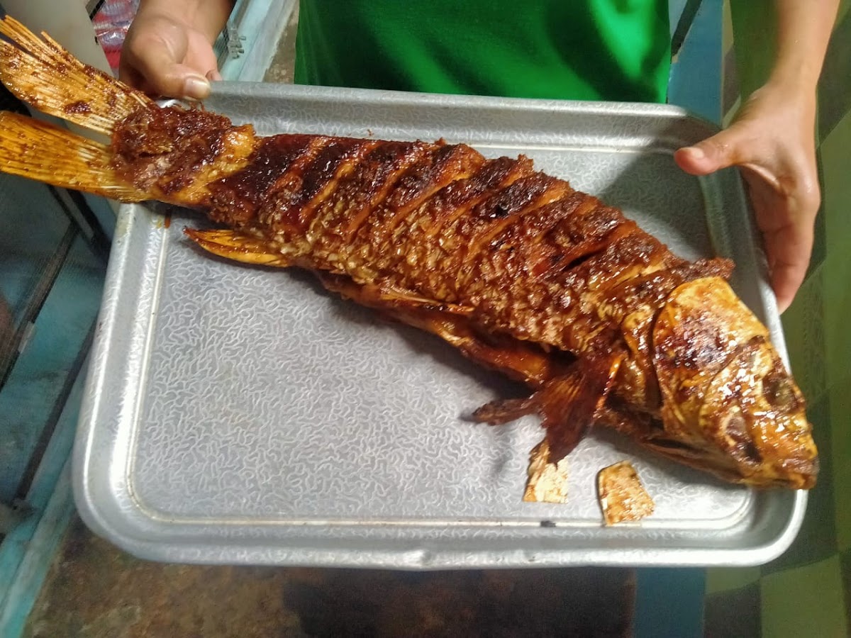 Pancingan 03