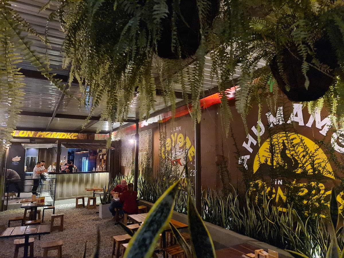 Chill garden de Locoyote Photo 4