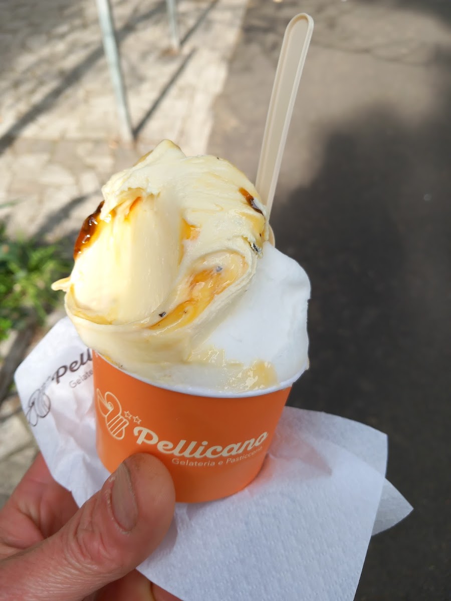 Bernardi Gelateria Pellicano Photo 4