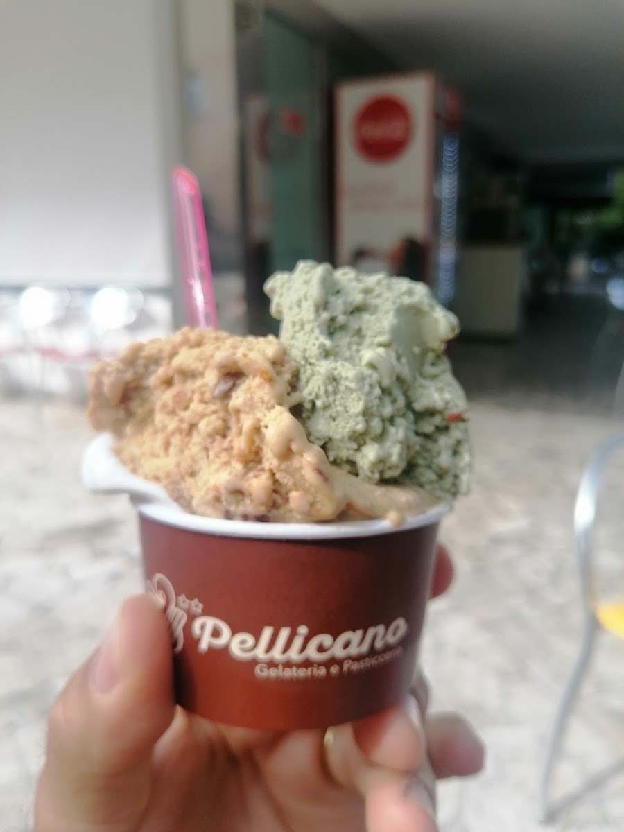 Bernardi Gelateria Pellicano Photo 6