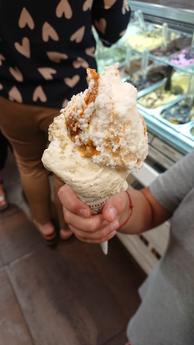 Bernardi Gelateria Pellicano Photo 8