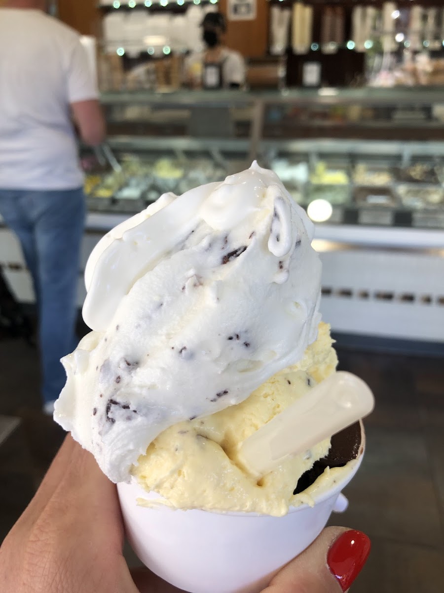 Bernardi Gelateria Pellicano Photo 9