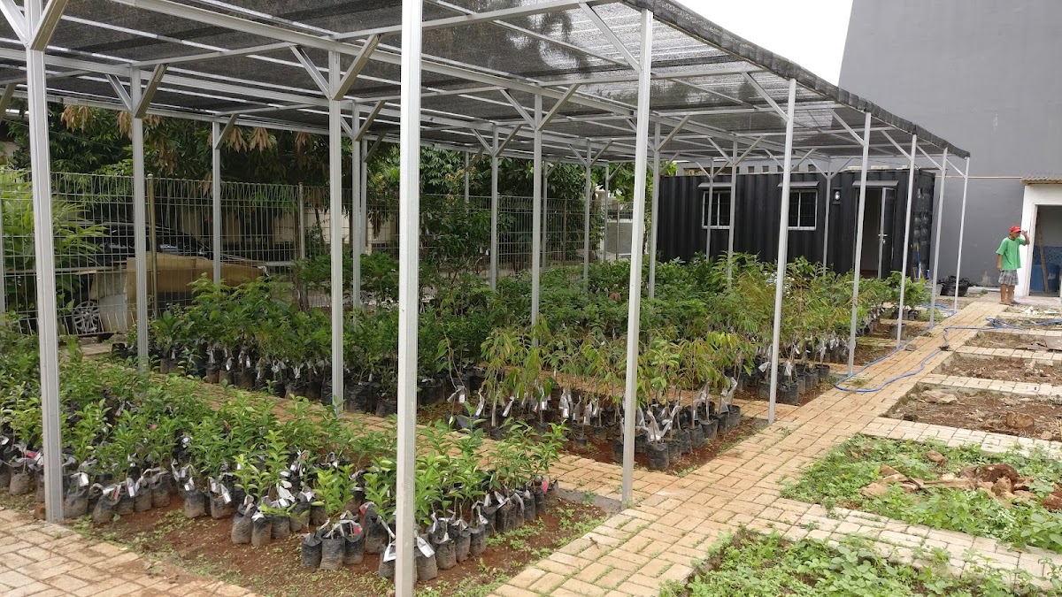 Taman Kayuputih Photo 3