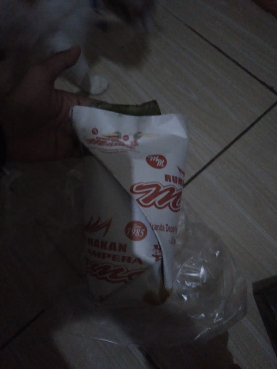 Lapau Nasi Mama Ampang Photo 10