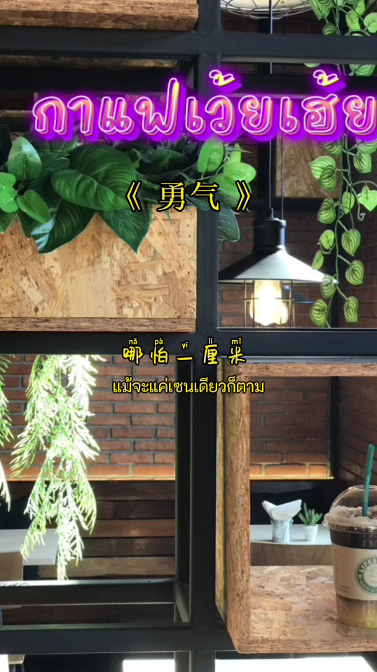 Lifestyle Coffee Photo 2