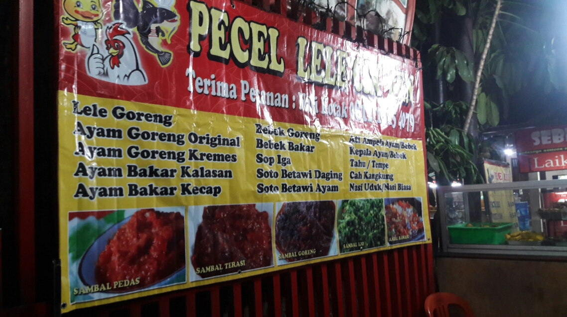 Pecel Lele Cik Yen Photo 4