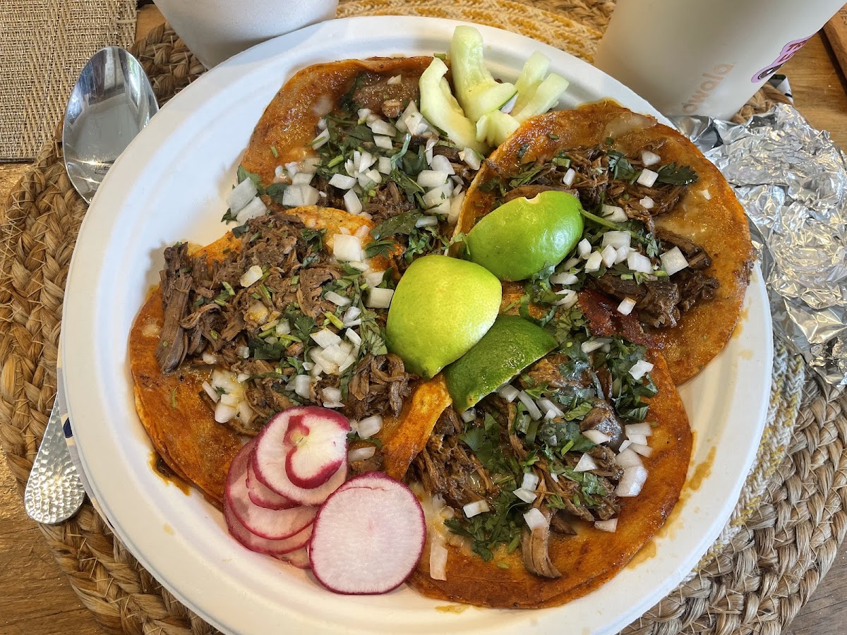 El Taco Loco LLC Photo 2