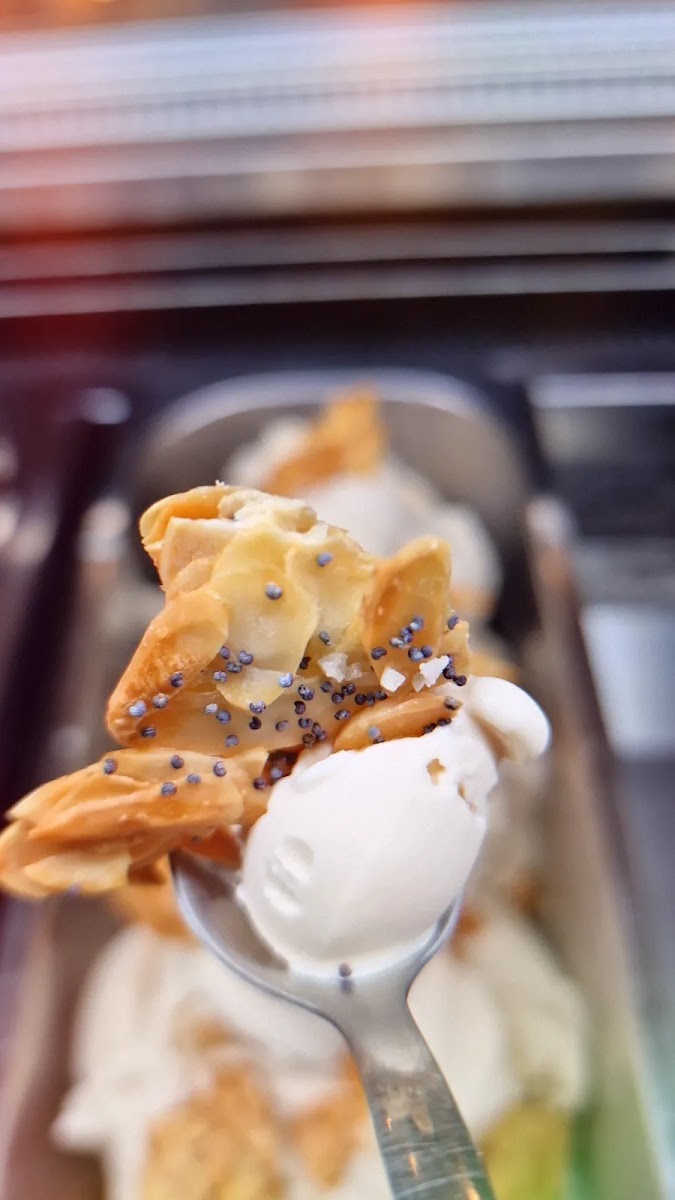 Vanilla Bottega del gelato Photo 5