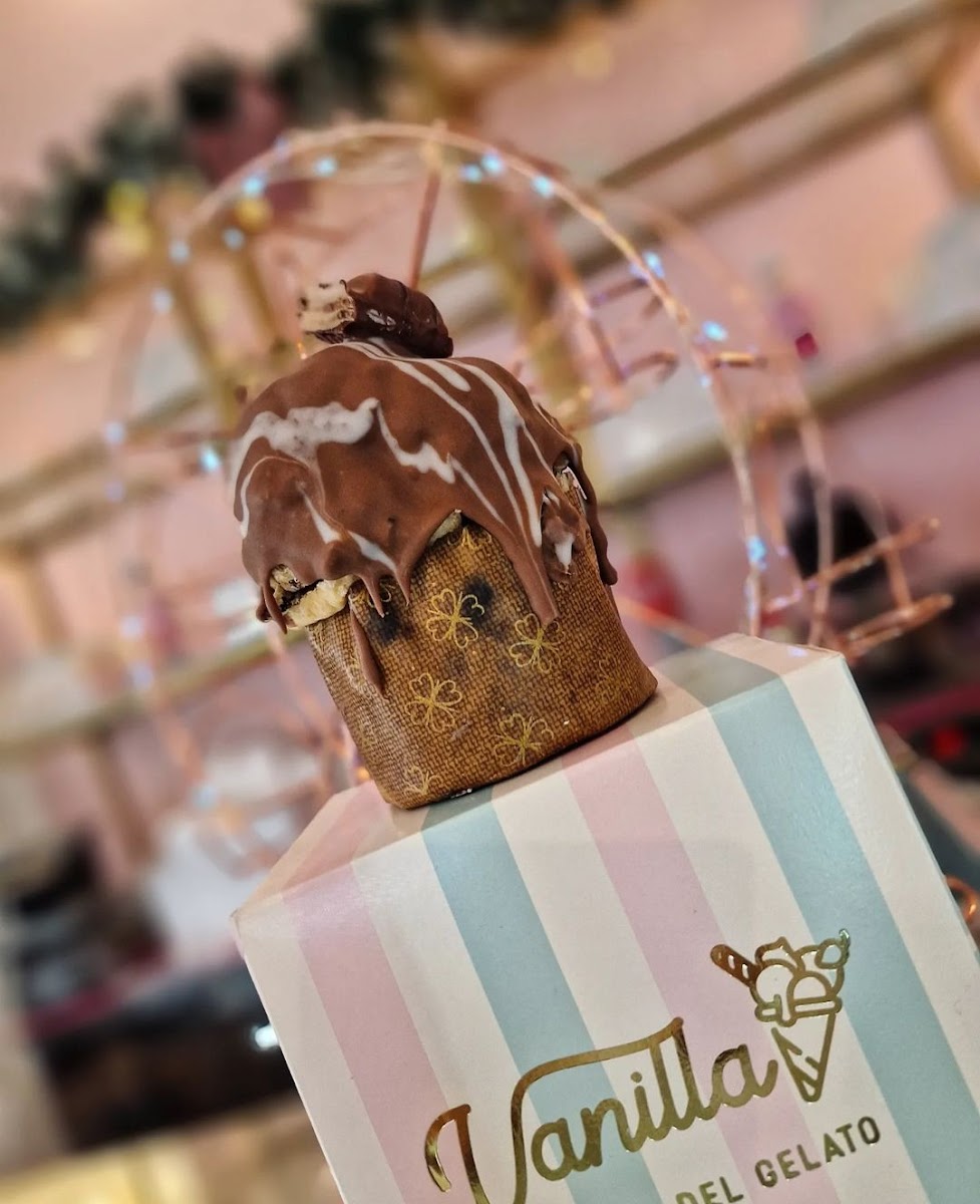 Vanilla Bottega del gelato Photo 6