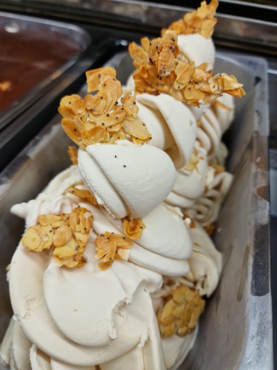 Vanilla Bottega del gelato Photo 7