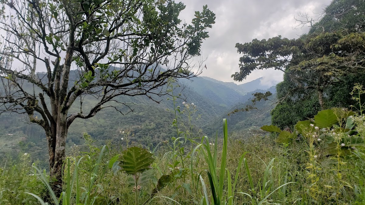 'La Cadavid'' Photo 2