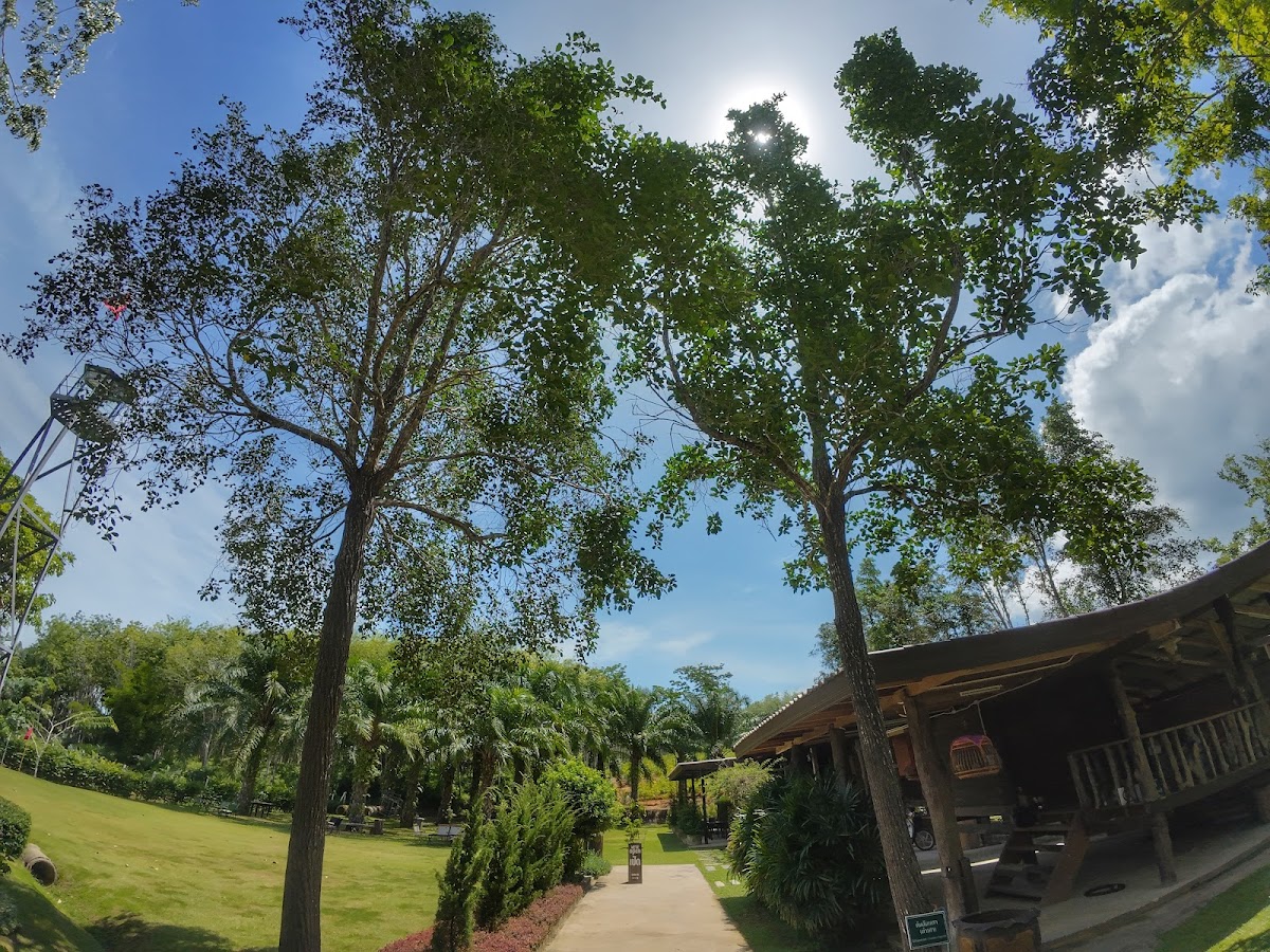 อโศกสะปัน asoka sapan garden & cafe Photo 4