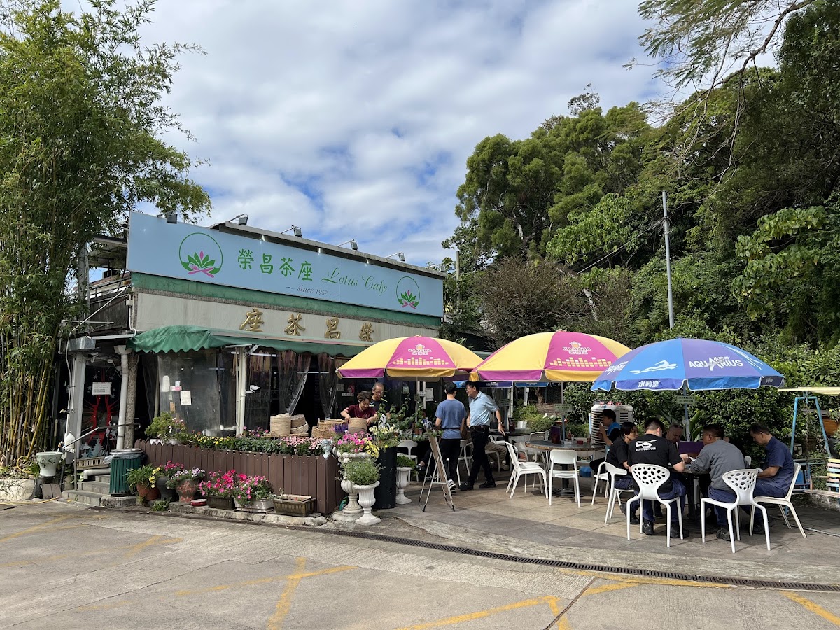Lotus Cafe Photo 4