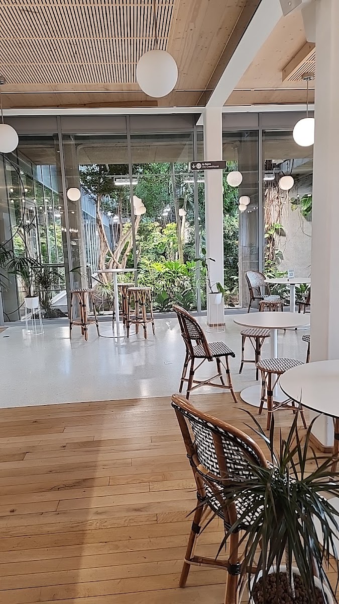 Café équateur Photo 4