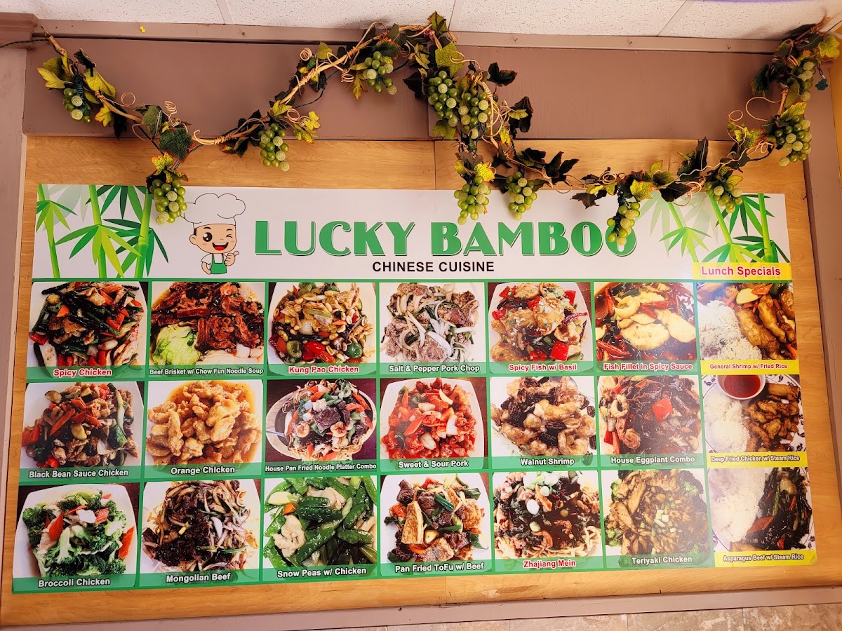 Lucky Bamboo Chinese Photo Menu 3