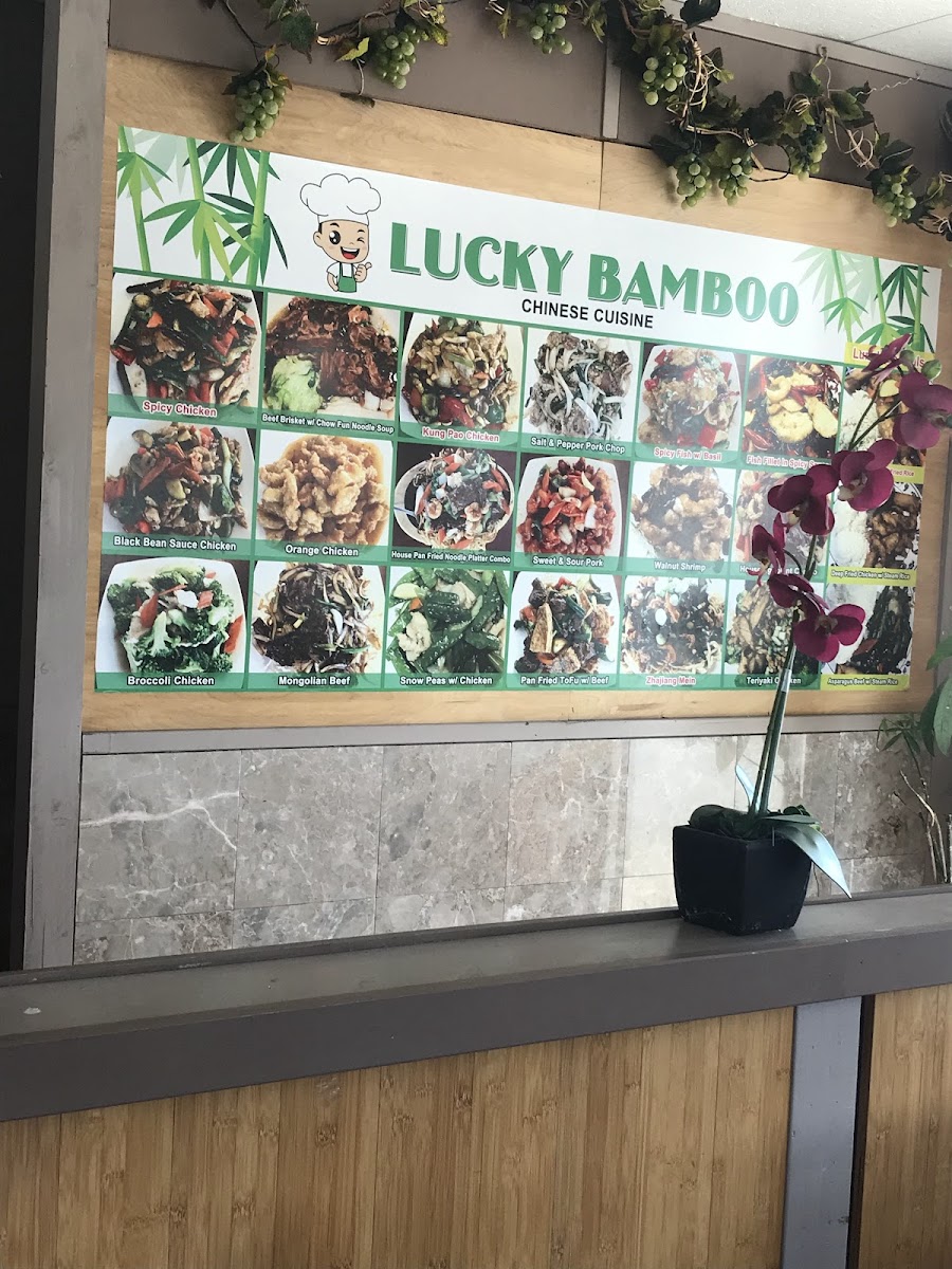 Lucky Bamboo Chinese Photo Menu 5