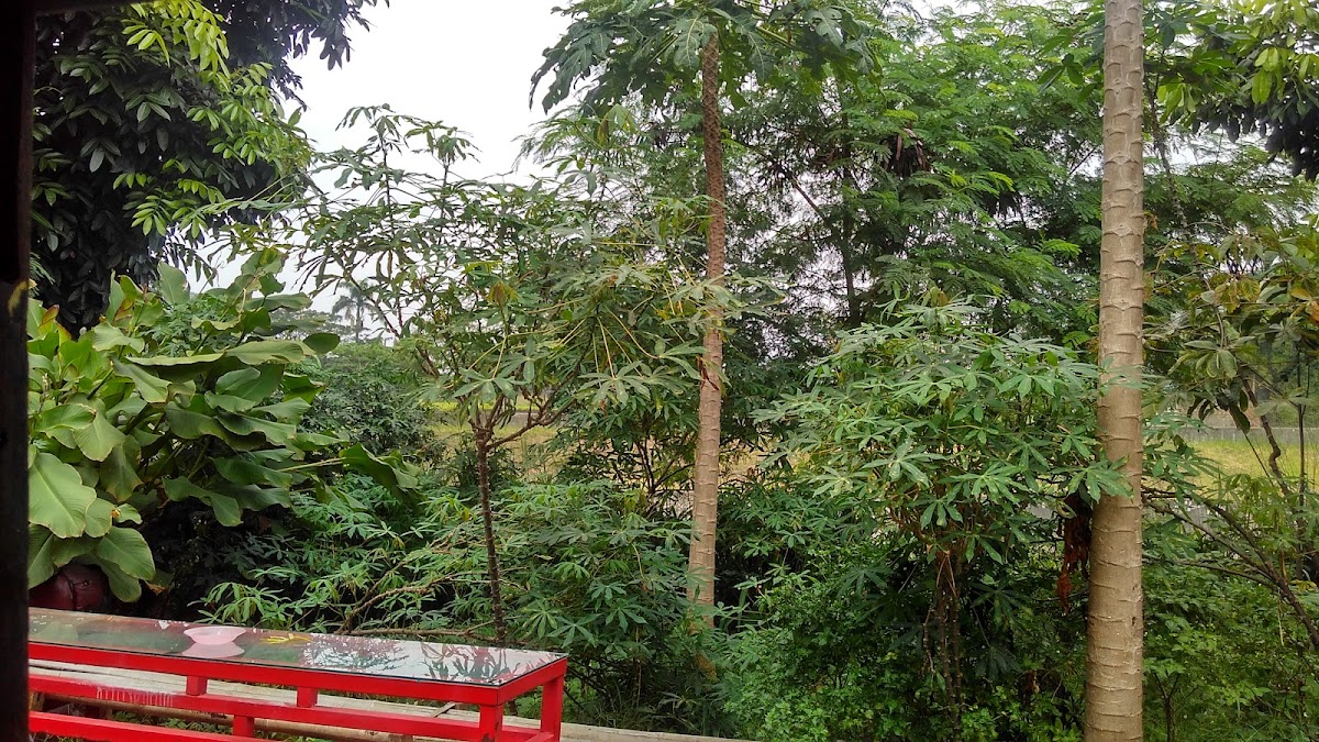 Warkop KM 29 Photo 3