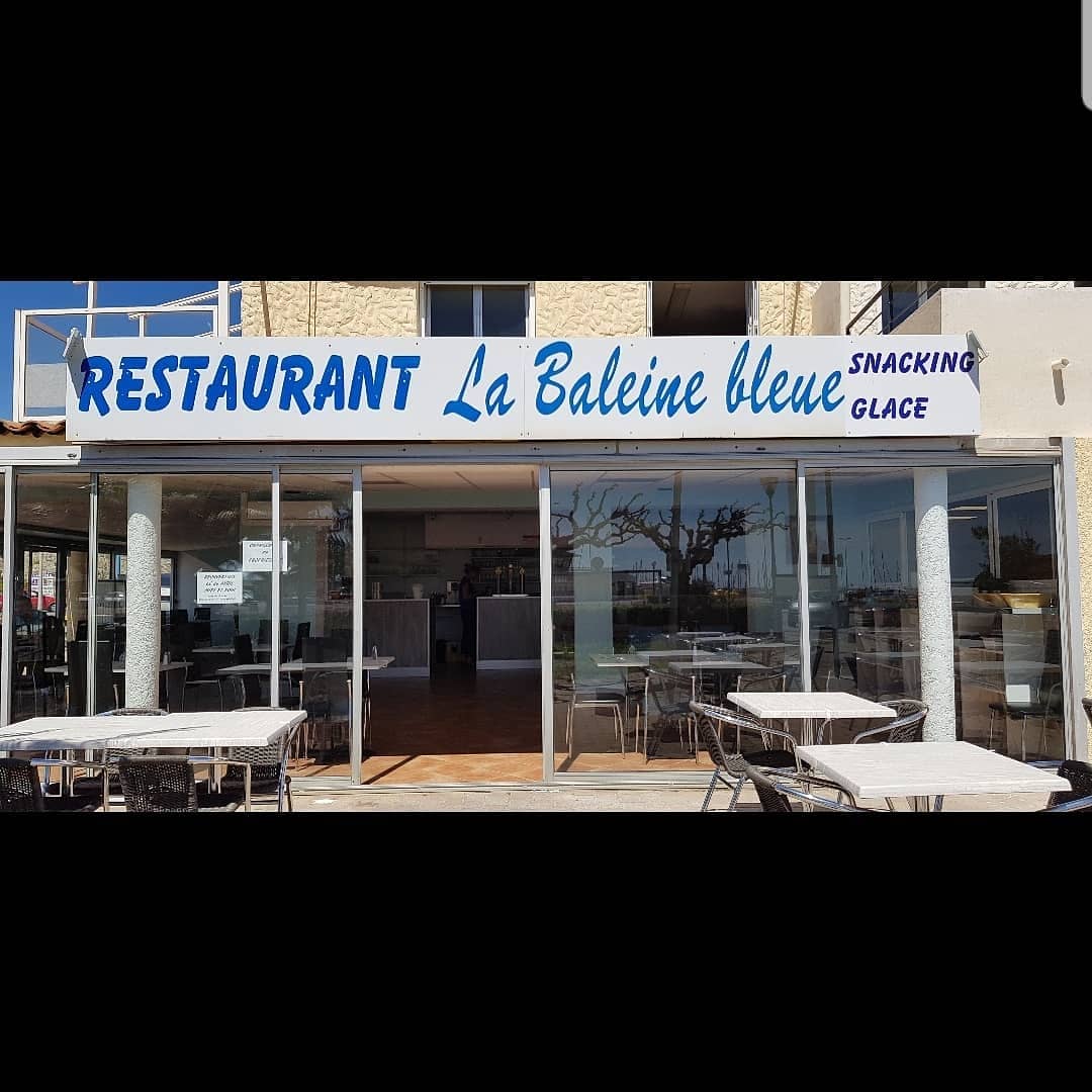 Baleine Bleue