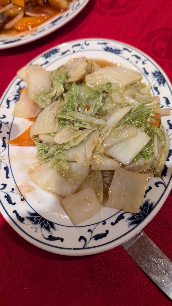 The Hot & Cold Chinese Restaurant Photo 7