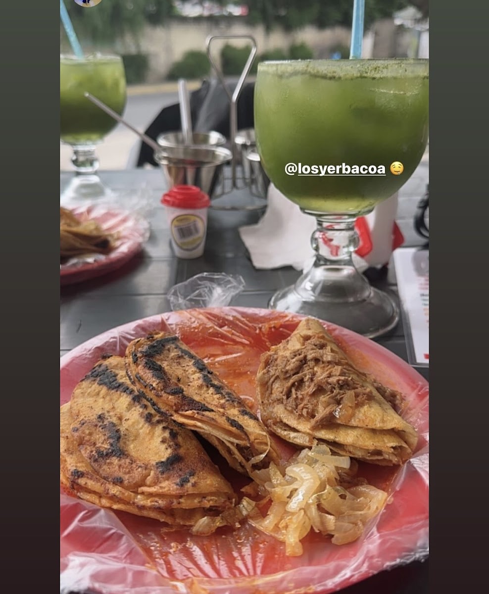 Los Yerbacoa Photo 8