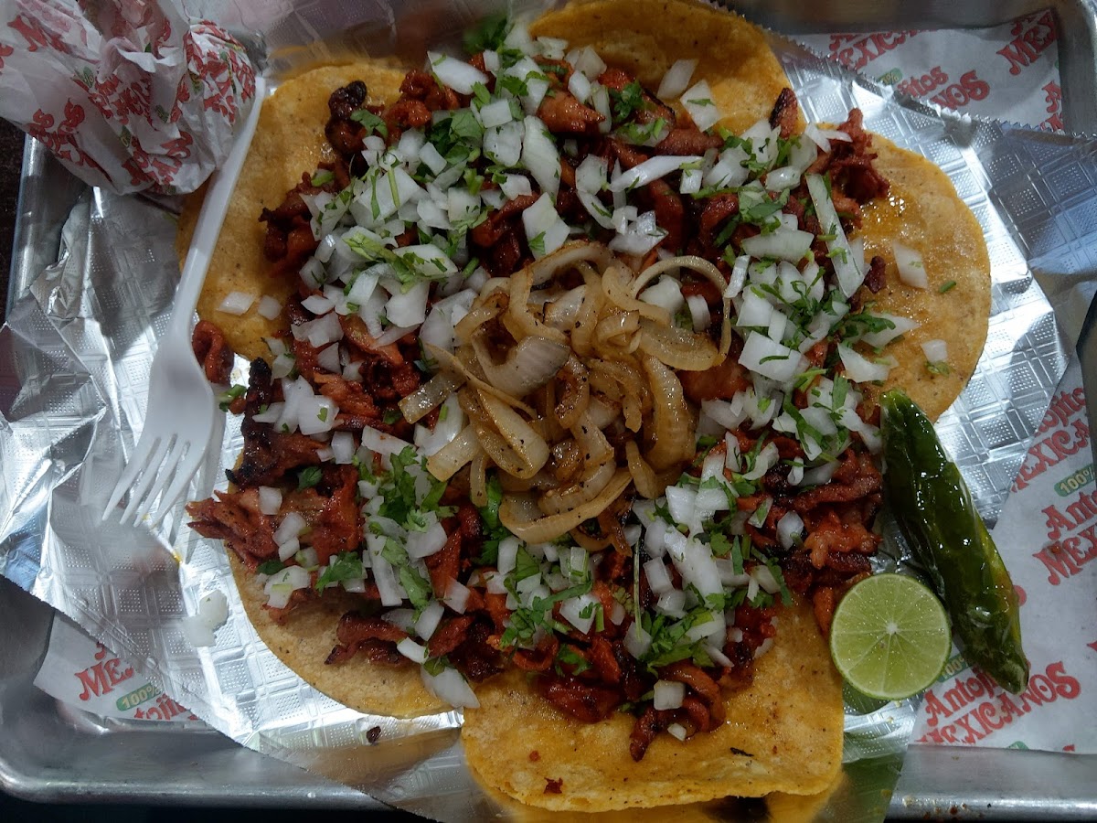 100% Antojitos Mexicanos Photo 5