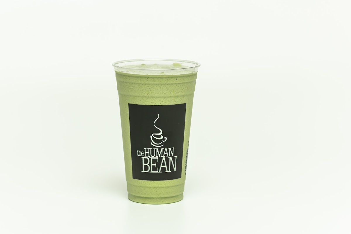 The Human Bean Photo 6